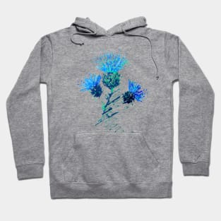 Scottish thistles in blue Hoodie